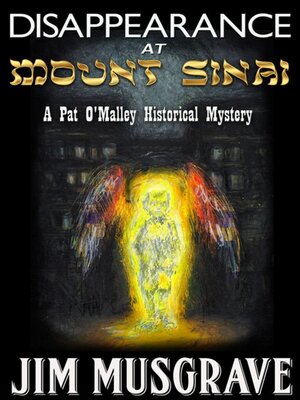 cover image of Disappearance at Mount Sinai